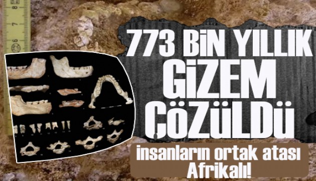 773 bin yıllık gizem çözdü: İnsanların ortak atası Afrikalı