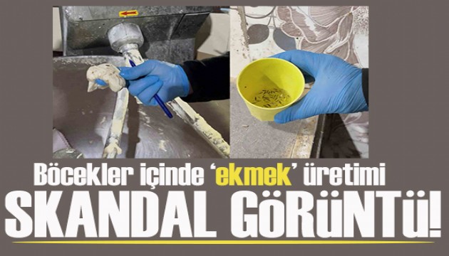 Pes dedirten görüntü!  Böcekler içinde ekmek üretimi