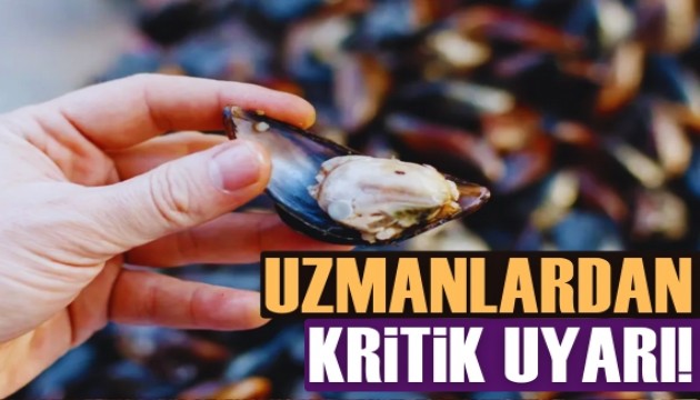 Kumpir ve midye zehirler mi? Uzmanlar uyardı