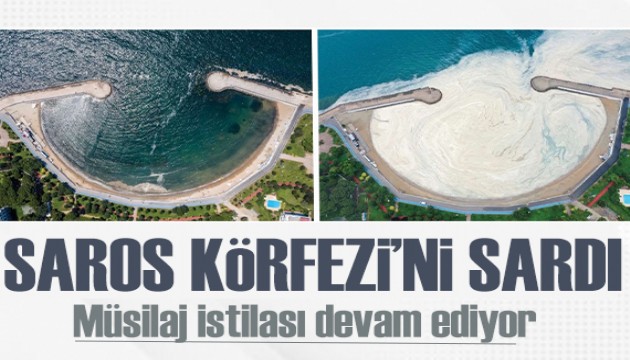 Prof. Dr. Mustafa Sarı: Müsilaj Marmara'yı geçti, Saros Körfezi'ni sardı!