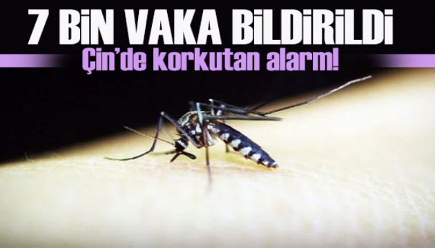 Çin’de Chikungunya alarmı: 7 bin vaka bildirildi