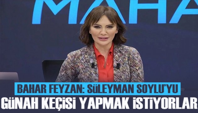 Bahar Feyzan: Süleyman Soylu'yu günah keçisi yapmak istiyorlar!