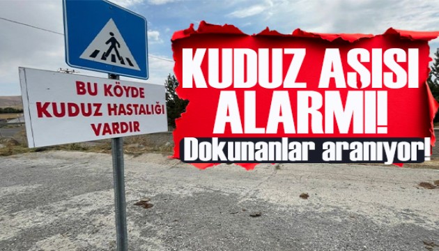 Diyarbakır'da kuduz aşısı alarmı: Dokunanlar aranıyor