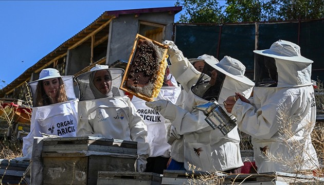 Devlet desteğiyle başladılar: Kara kovan balı üretiyorlar