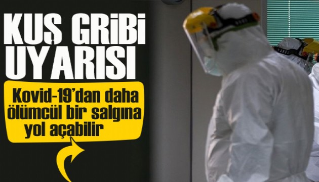 Bilim Dünyasından kuş gribi uyarısı: Kovid-19’dan daha ölümcül bir salgına yol açabilir