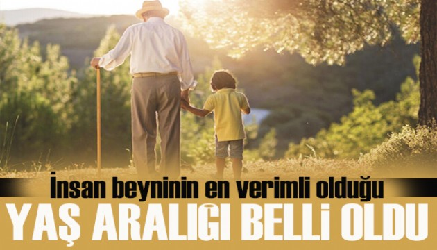 İnsan beyninin en verimli olduğu yaş aralığı belli oldu
