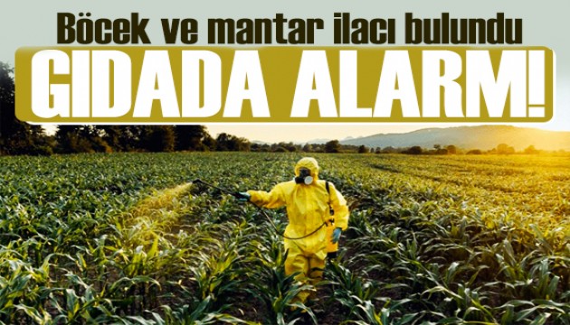 Gıdada alarm! Bu kez Almanya iade için düğmeye bastı: Türkiye'deki tarım ürünlerinde kriz