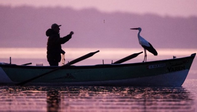 Yaren leyleğin fotoğrafına Avrupa'dan ödül