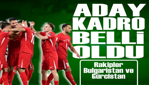 A Milli Takım'ın aday kadrosu belli oldu