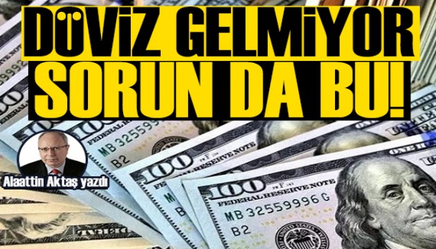 Alaattin Aktaş yazdı: Döviz gelmiyor, sorun da bu!
