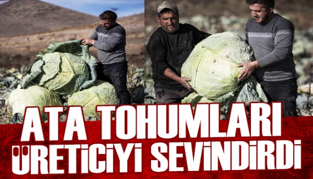 Ata tohumları üreticiyi güldürdü