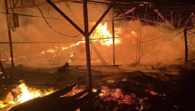 Mersin'de korkutan yangın!