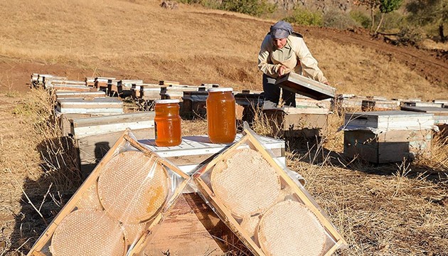 Şehirden köye döndü, üretime başladı