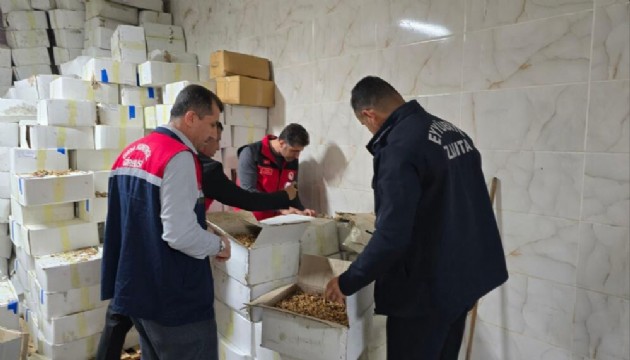 Ceviz skandalı! Vatandaşa yedireceklerdi