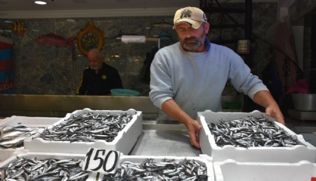 Kilosu 150 TL’den alıcı buluyor!