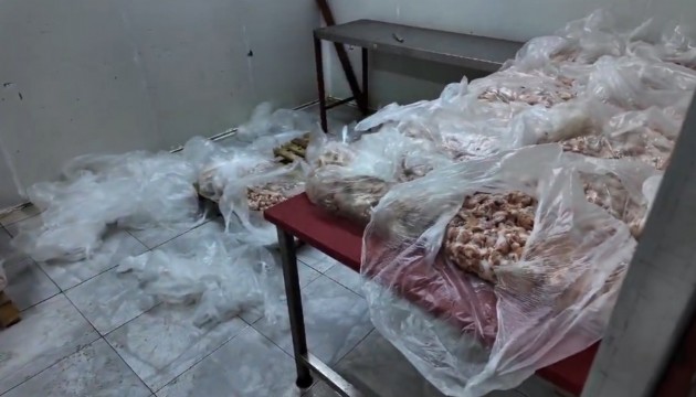Akdeniz'de 25 ton bozuk tavuk ürünü ele geçirildi
