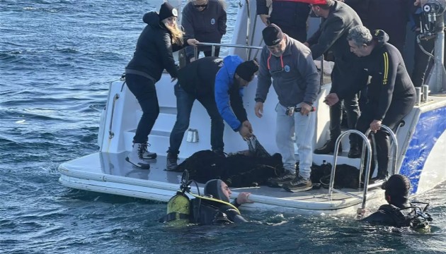 Boğazda hayalet ağ temizliği