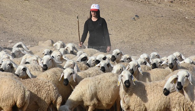 Hibe ile besiciliğe başladı, işleri büyüttü