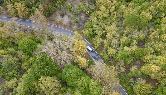 Ganos eteklerinde sonbahar renkleri