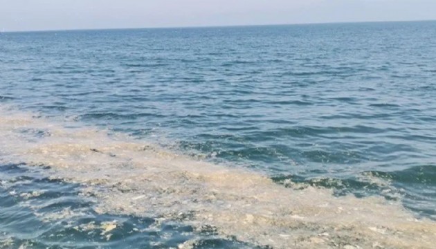 Bu kez Yalova'nın Armutlu kıyılarında müsilaj görüldü