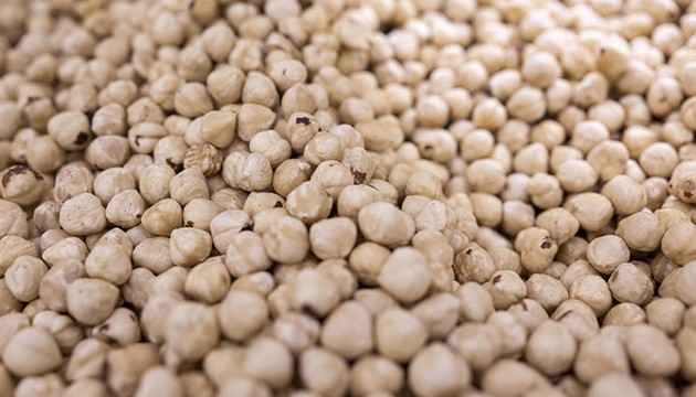 Fındık ihracatından 9 ayda dev gelir