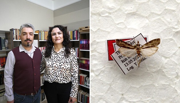 Keşfettiği yeni güve türüne eşinin adını verdi