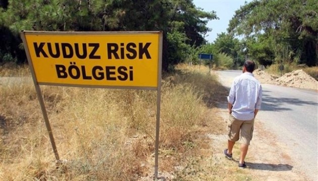 O ilde 'kuduz' alarmı! 6 ay karantinaya alındı