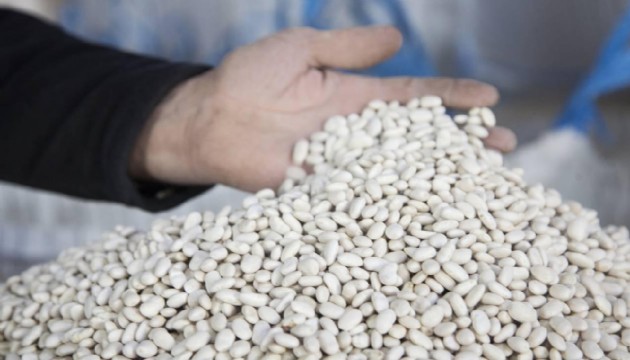 DMM, 'kuru fasulye krizi' iddiasına açıklık getirdi