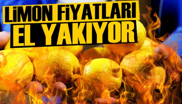 Limon fiyatları el yakıyor: Adedi 24 TL