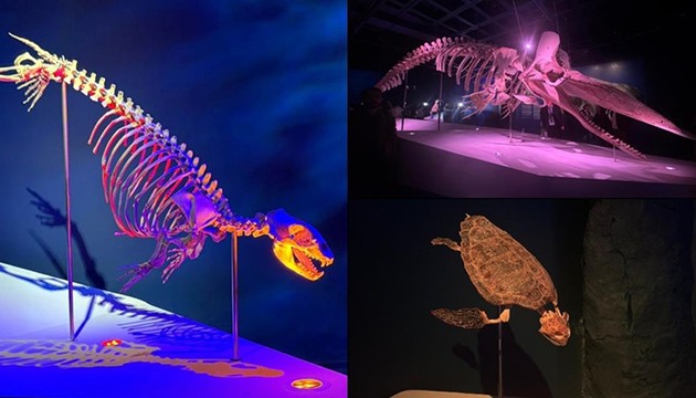 Okyanusun Devleri sergisi açıldı