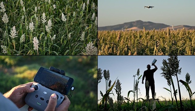 Çiftçilerden dronlu akdarı nöbeti