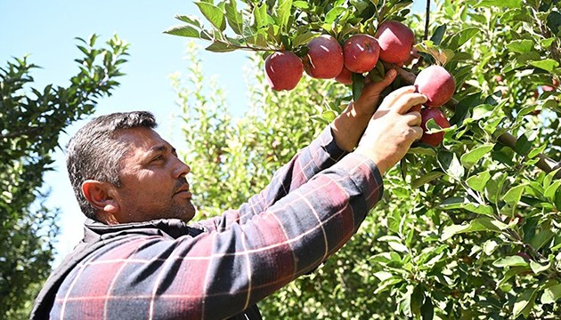 Ürünlerini zirai dondan böyle korudu