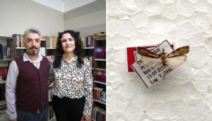 Keşfettiği yeni güve türüne eşinin adını verdi