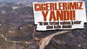 Bursa'da ciğerlerimiz yandı! 10 bin futbol sahası kadar orman küle döndü