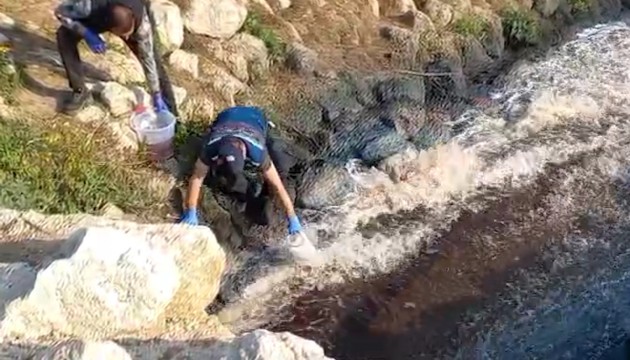 Bakanlıktan Ceyhan Nehri'ne inceleme