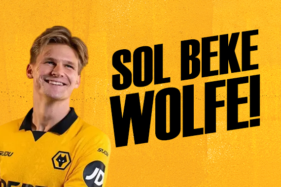 Sol beke Wolfe