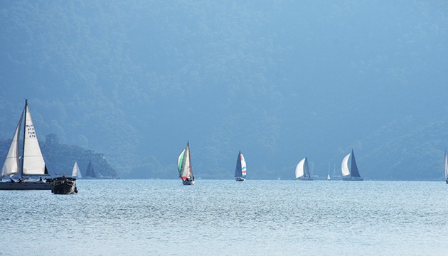 Ortak yelken organizasyonu