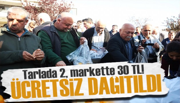 Üreticinin elinde kalan mandalina ücretsiz dağıtıldı
