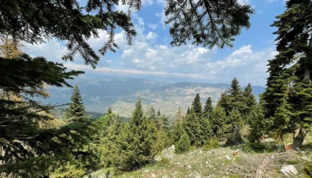 Bir şehirde daha ormanlık alanlara girişler yasaklandı