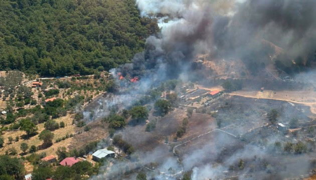 Muğla'da orman yangını