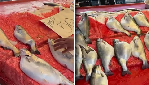 Pazarda 50 liraya satılan somonlar dikkat çekti: Gıda mühendisi ciddi sağlık riskine karşı uyardı