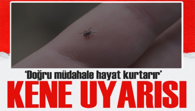 Uzman doktordan kene uyarısı: Doğru müdahale hayat kurtarır