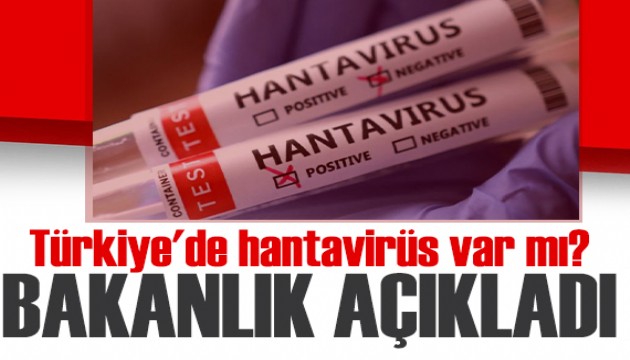Sağlık Bakanlığı'ndan hantavirüs açıklaması: Türkiye'de vaka var mı?
