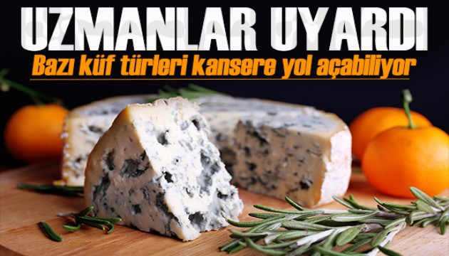 Uzmanı uyardı: Küflü gıdaları tüketmek kansere bile yol açabilir!