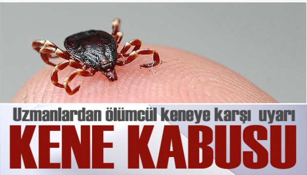 Uzmanlardan ölümcül keneye karşı '2 saat' ve 'kolonya' uyarısı