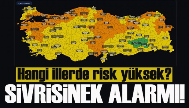 Türkiye'de sivrisinek alarmı! Hangi illerde risk yüksek?