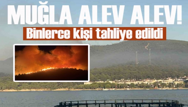 Muğla'daki orman yangını: Binlerce kişi tahliye edildi