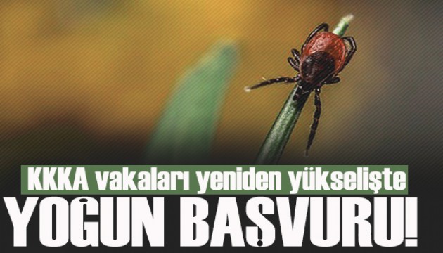 Uzman isim uyarıyor! KKKA vakaları yeniden yükselişte
