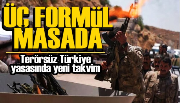 Terörsüz Türkiye sürecinde kritik aşama! Üç formül konuşuluyor