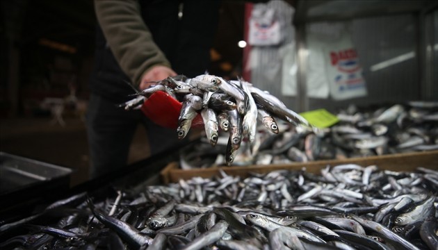 Hamsi 200 liradan alıcı buluyor
